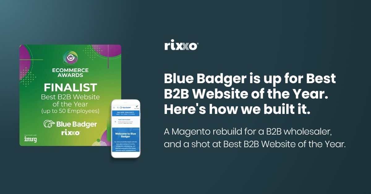 Rixxo's Blue Badger up for Best B2B Website